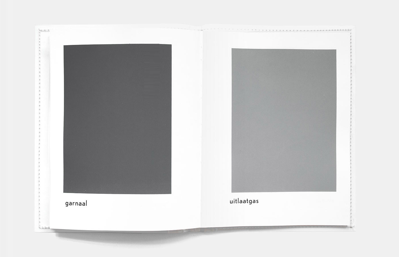 137 Greytones by Johannes Verwoerd ©